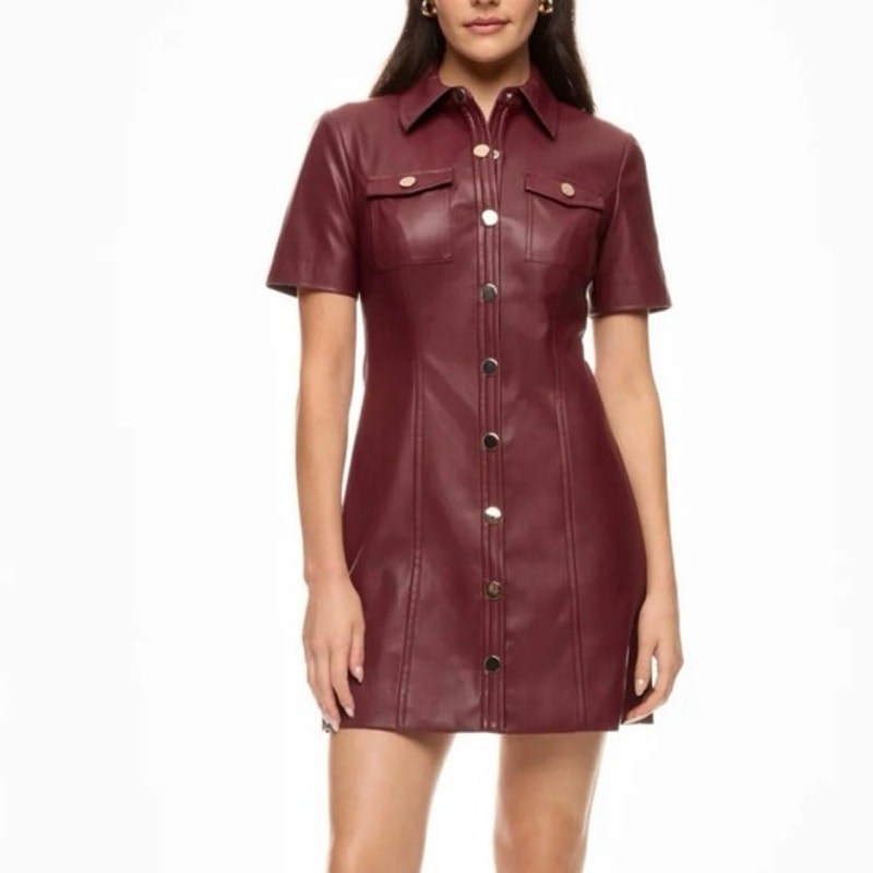Toccin Faux Leather Bordeaux Short Sleeve Dress Size 2